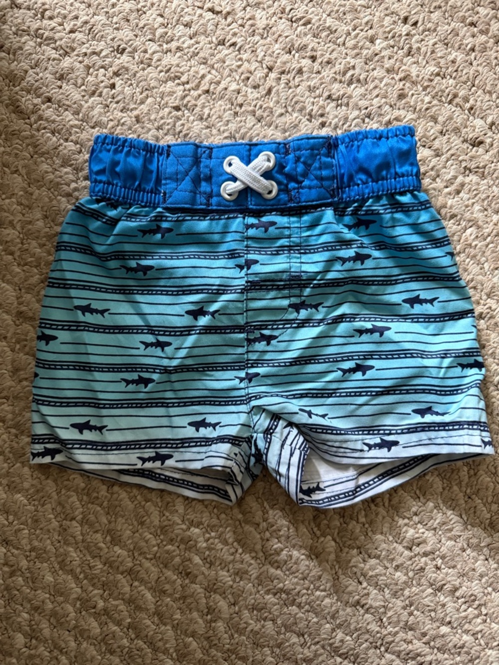 Cat & Jack Baby Boys' Shark Stripe Swim Trunks in Aqua and Royal Blue 9M